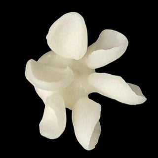 Glass Ceramic Ingot (Press Lithium Disilicate)—HT/LT 10 Pieces