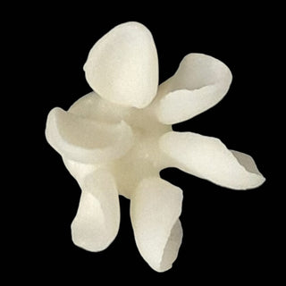 Glass Ceramic Ingot (Press Lithium Disilicate)—HT/LT 10 Pieces