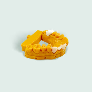 3D Printer Model Resin 1 Bottle（500g）